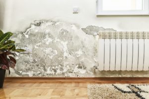 Mold and moisture buildup on wall of a modern house